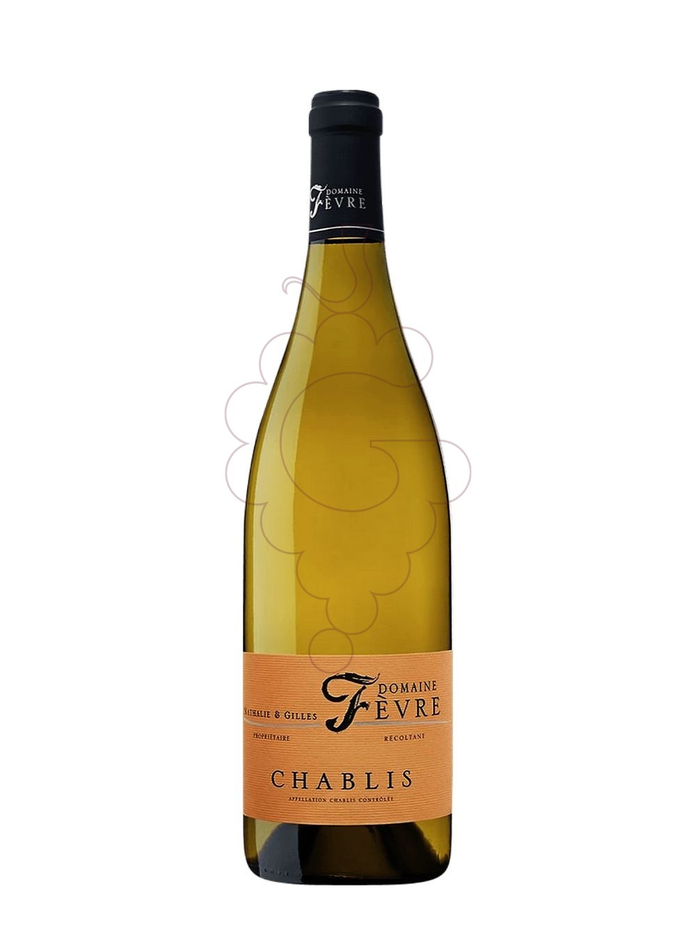 Foto Nathalie & Gilles Fèvre Chablis vi blanc