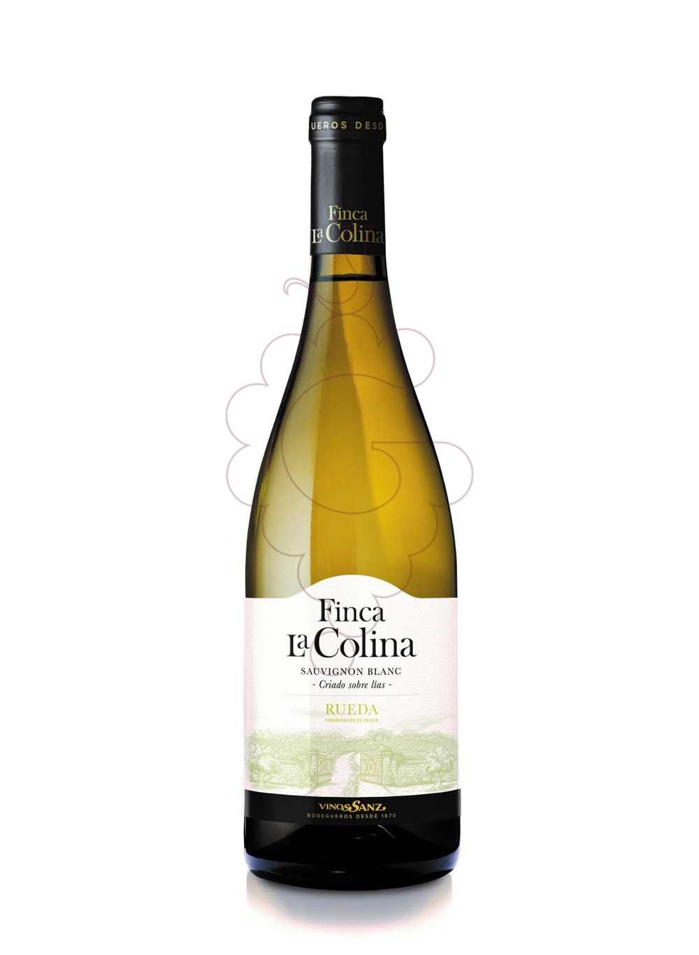 Foto Finca la Colina Sauvignon Blanc vi blanc