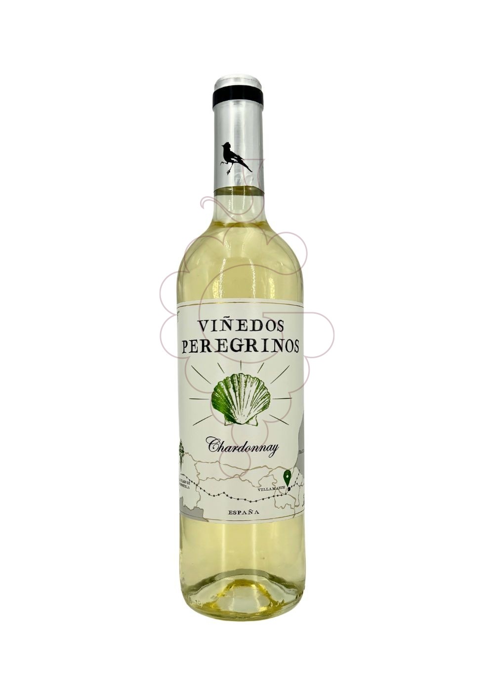 Foto Viñedos Peregrinos vi blanc