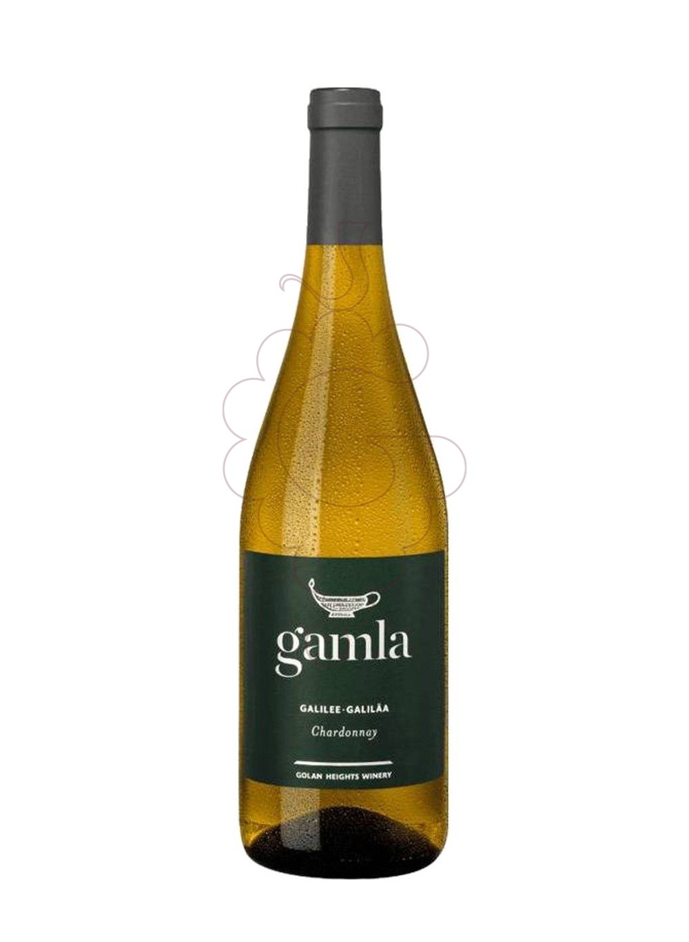 Foto Gamla galilee israel chard bl vi blanc
