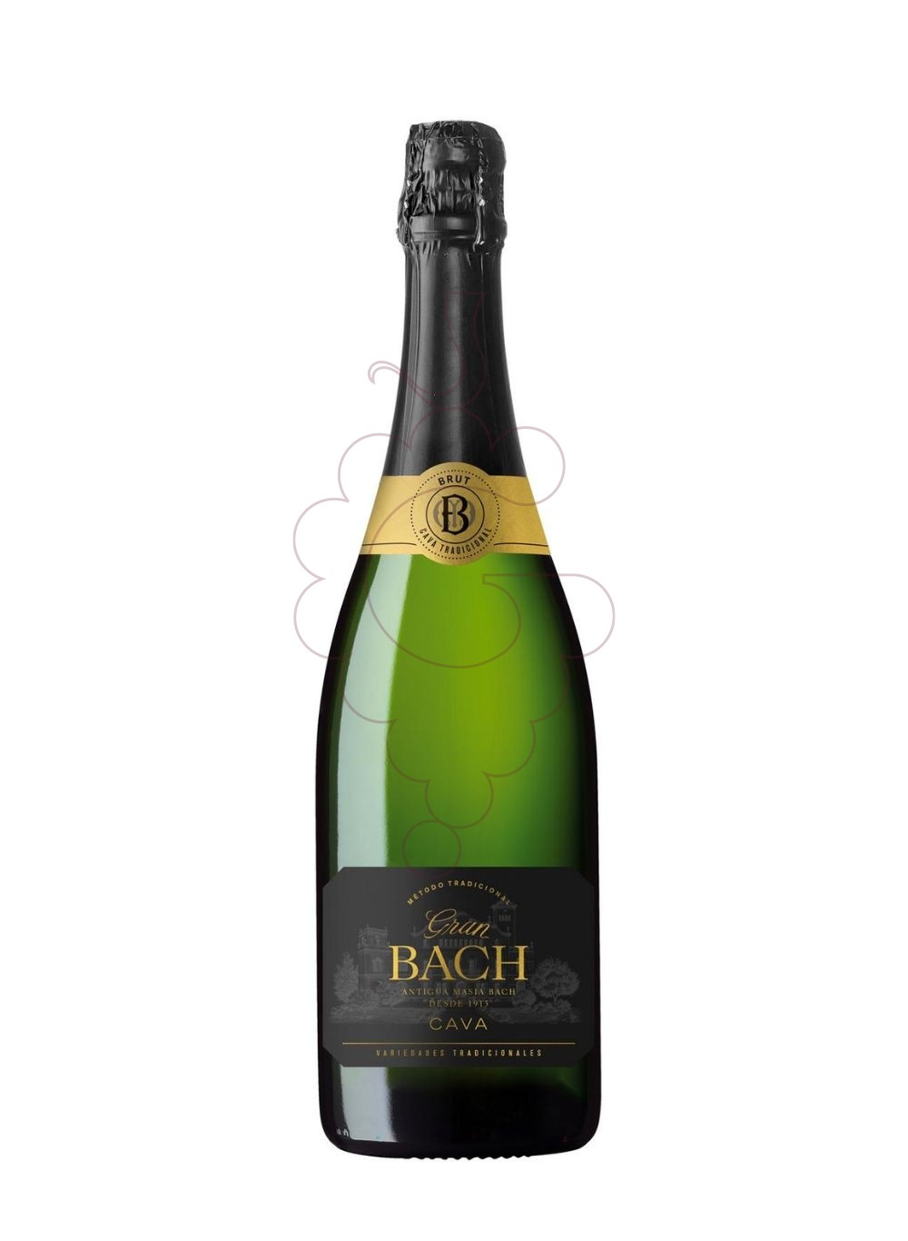 Foto Gran Bach Brut vi escumós