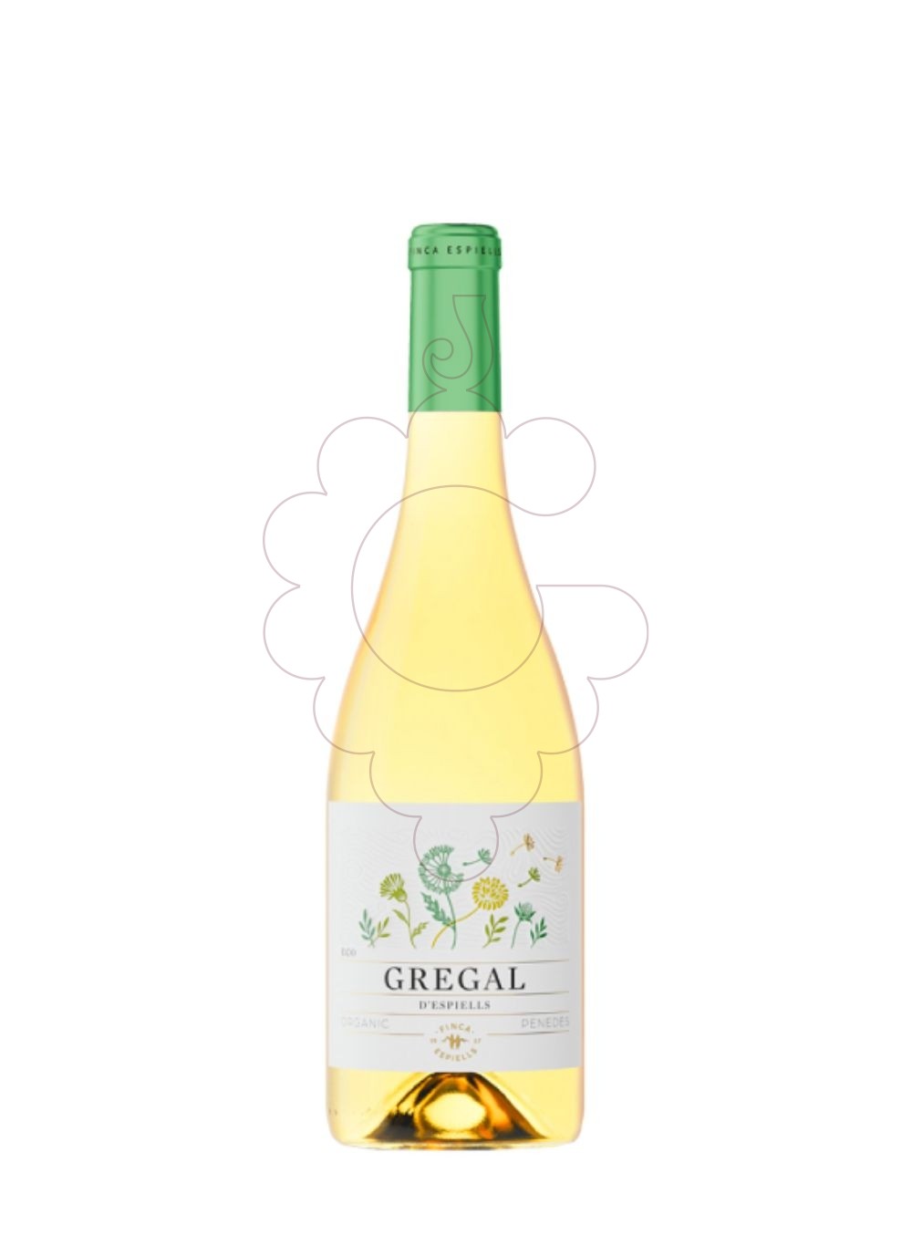 Foto Gregal d'Espiells  vi blanc