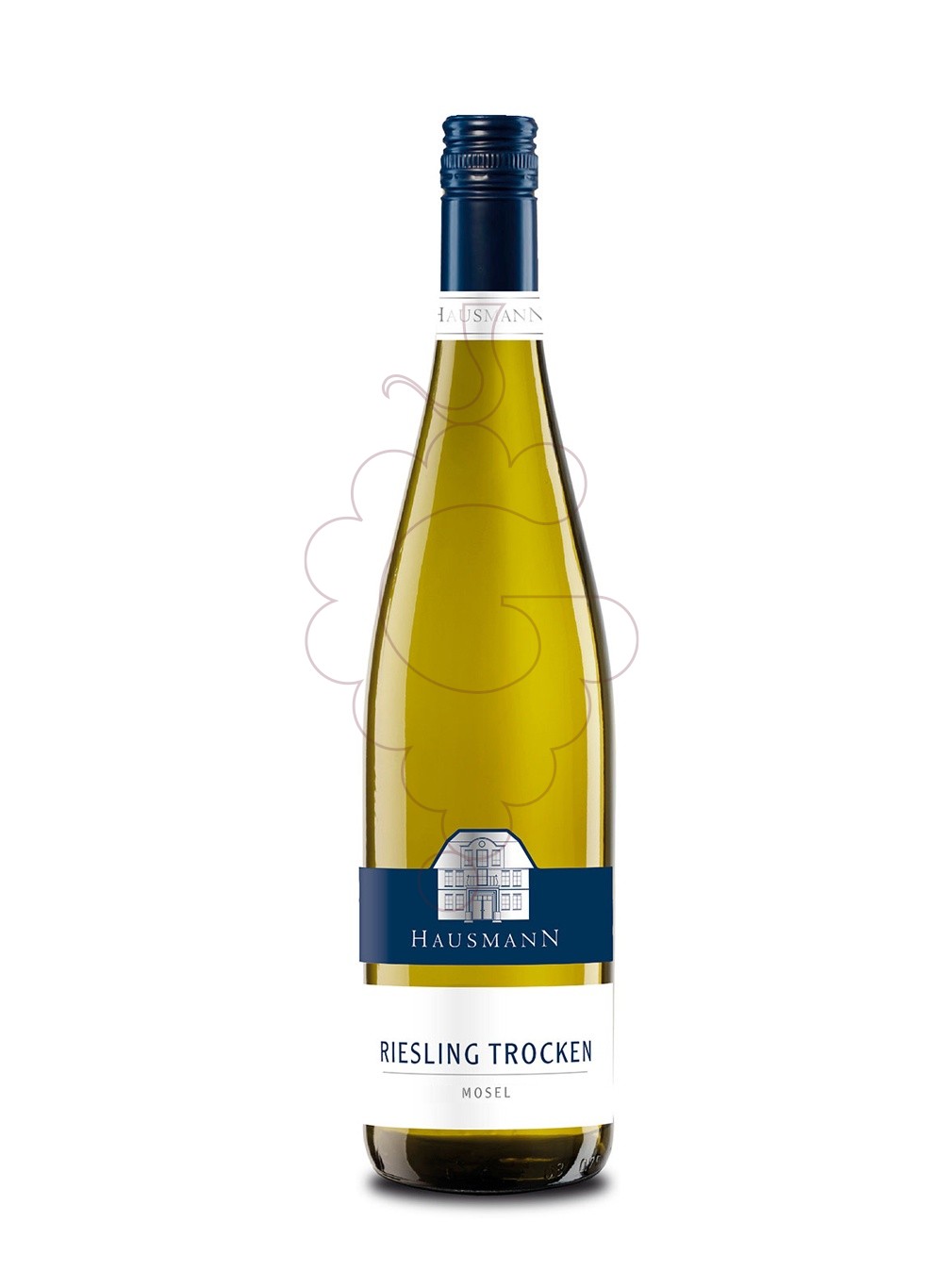 Foto Hausmann Riesling Trocken vi blanc