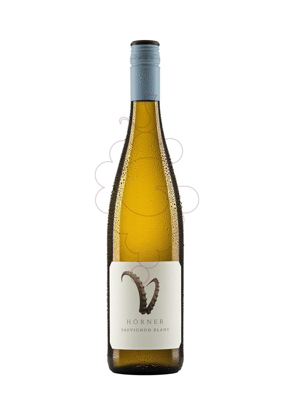 Foto Horner Sauvignon vi blanc