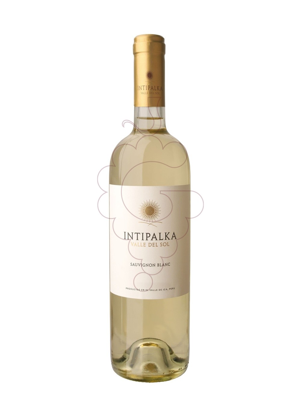 Foto Intipalka Sauvignon Blanc vi blanc