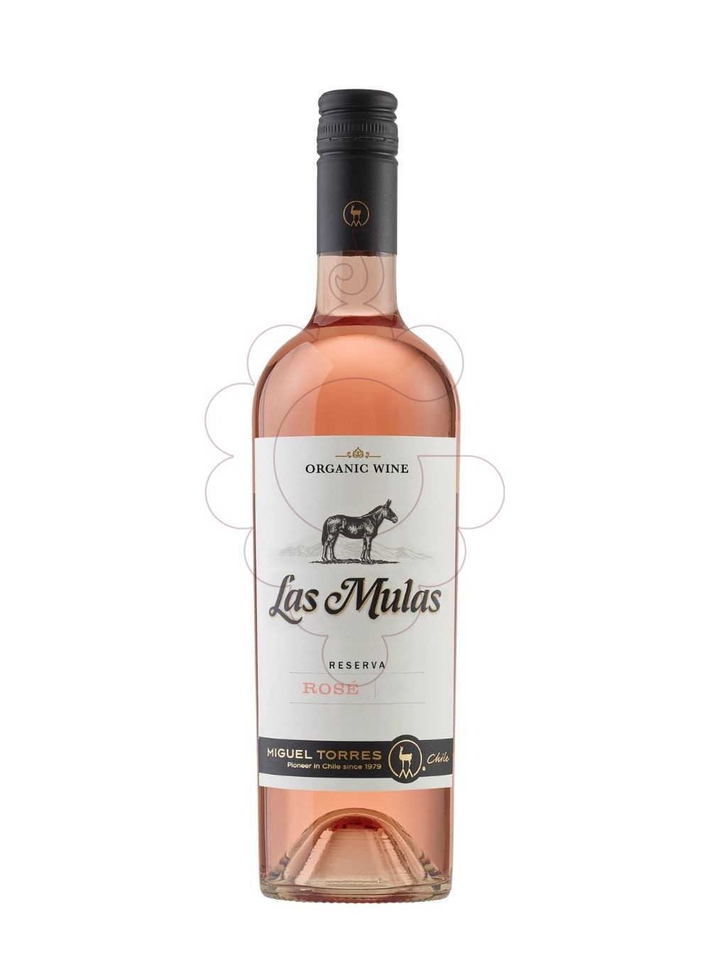 Foto Las mulas rose 2023 (xile) vi rosat
