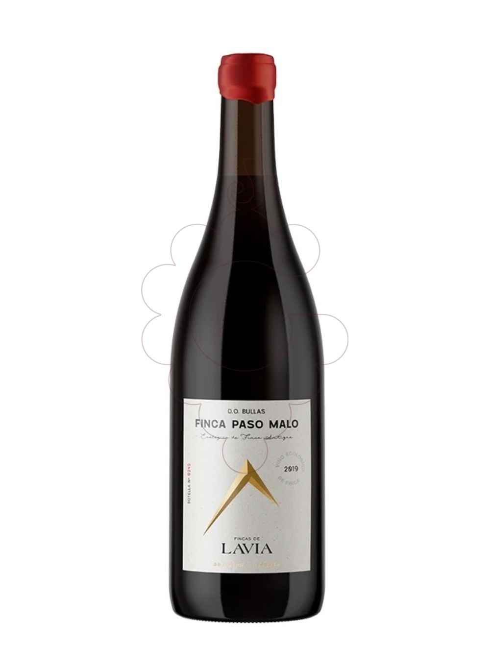 Foto Lavia finca paso malo 2019 vi negre