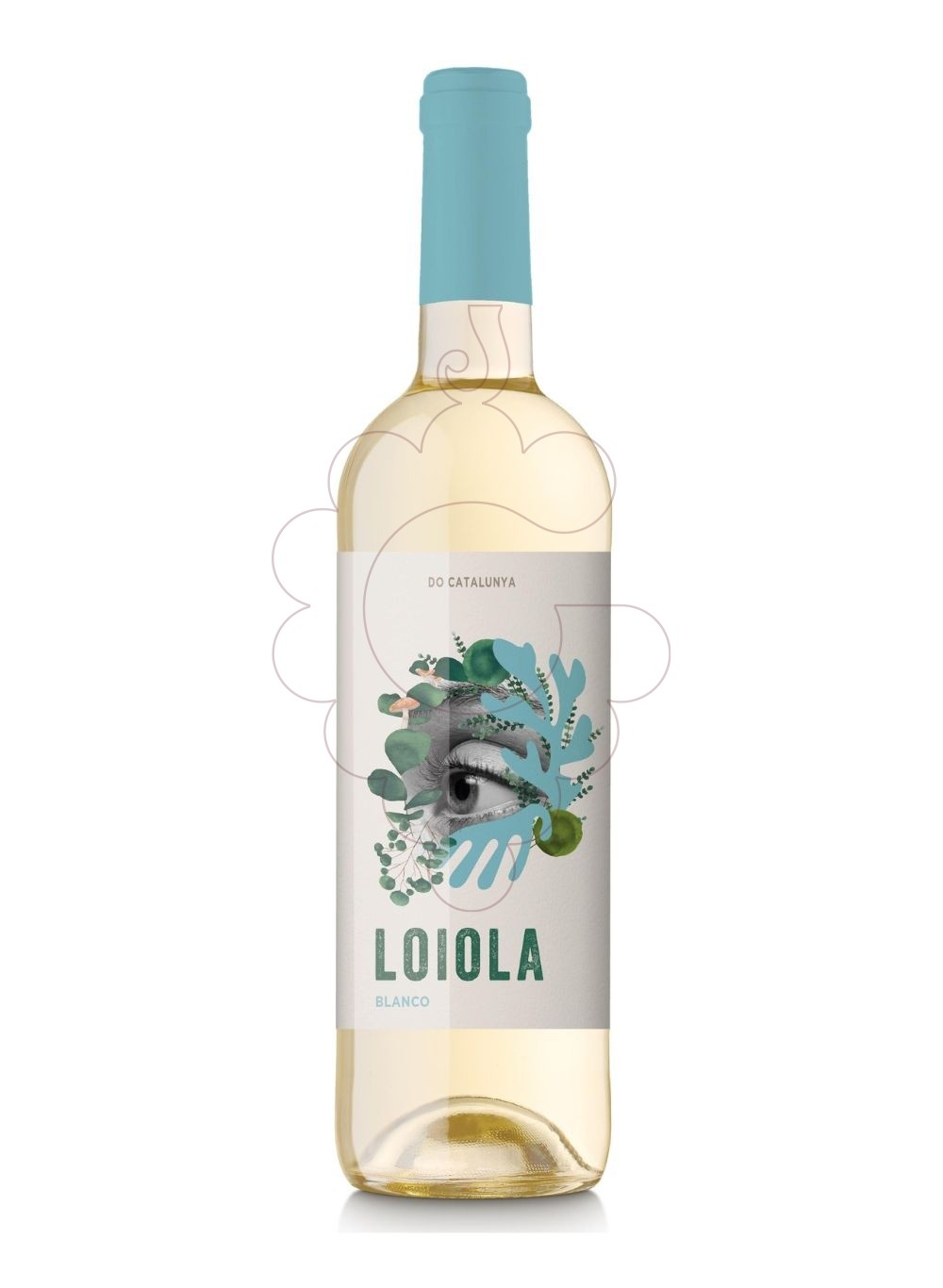 Foto Loiola blanc vi blanc