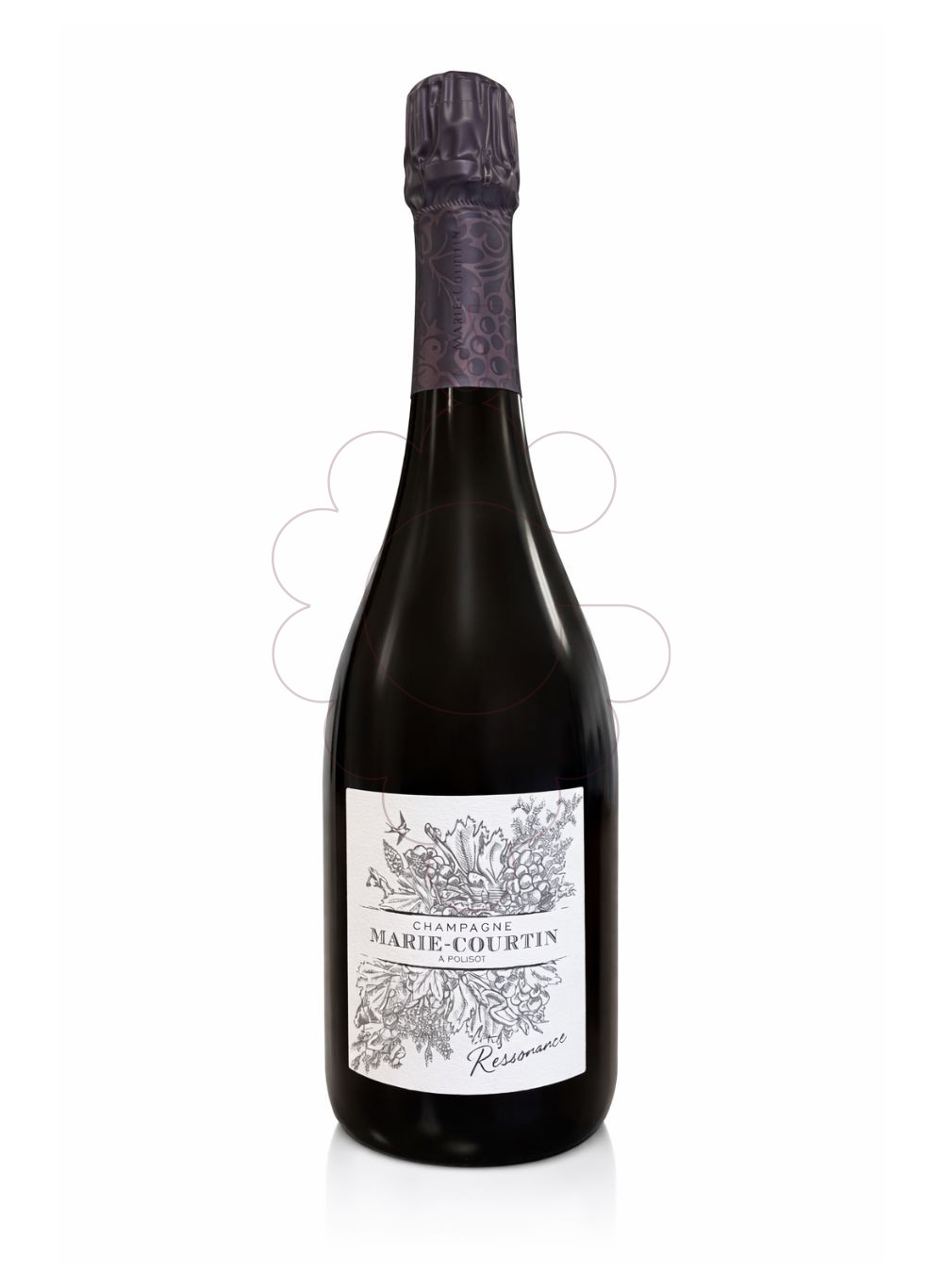 Foto Marie Courtin Résonance Extra brut vi escumós