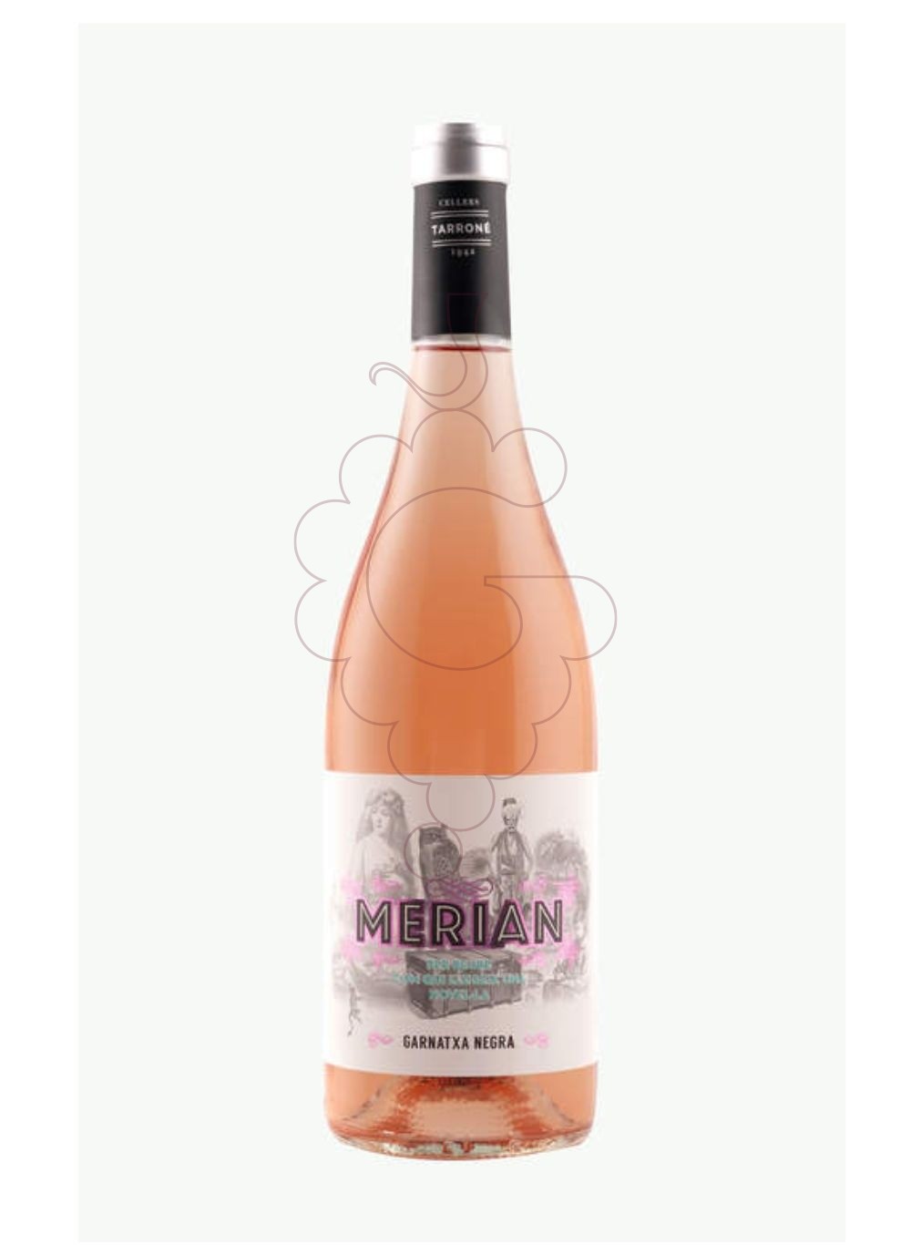 Foto Merian Rose vi rosat