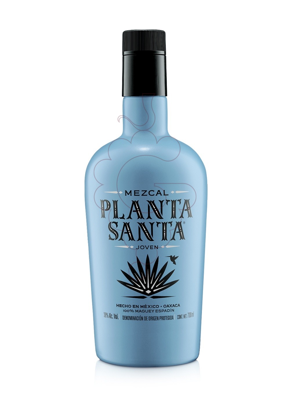 Foto Mescal Mezcal planta santa joven