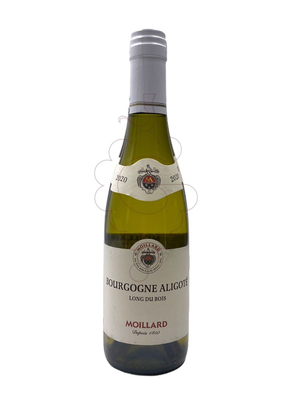 Foto Moillard Bourgogne Aligoté (mini) vi blanc