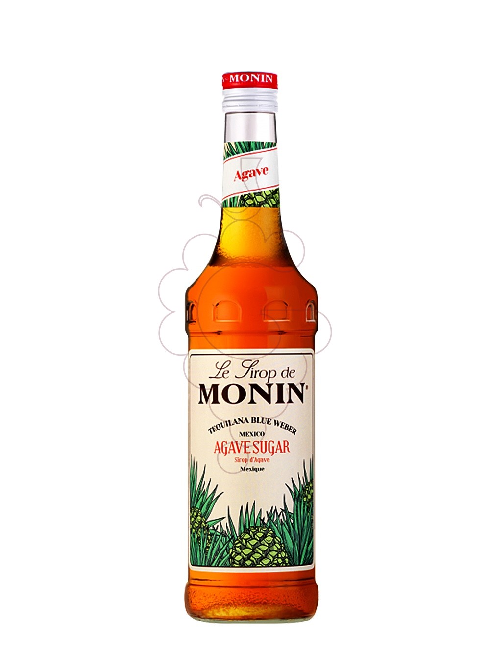 Foto Xarops Monin Agave (s/alcohol)