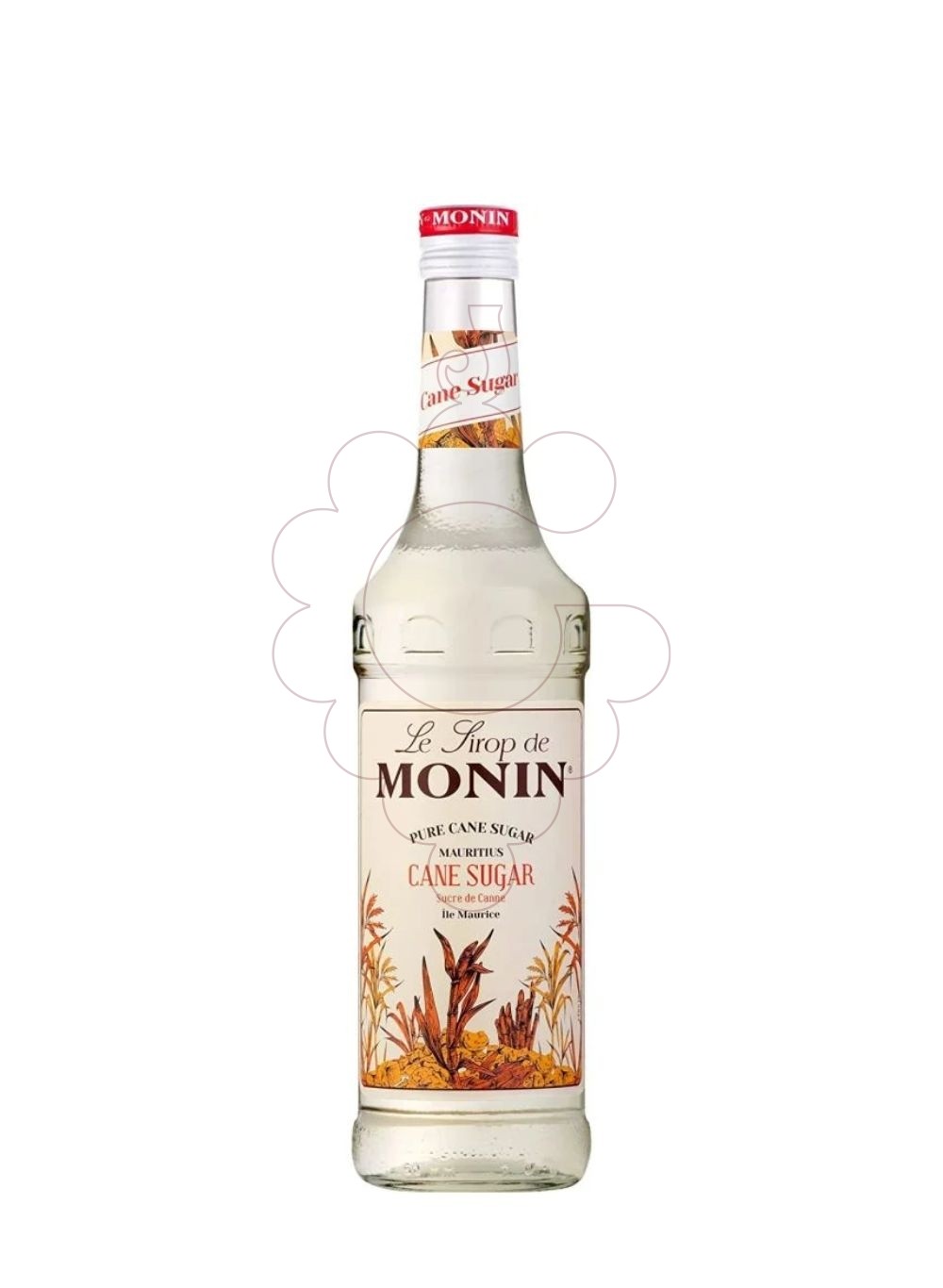 Foto Xarops Monin Pur Sucre de Canne (s/alcohol) PET