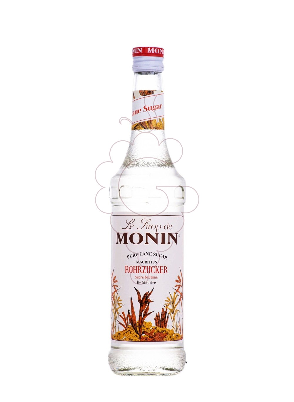 Foto Xarops Monin Pur Sucre de Canne (s/alcohol)