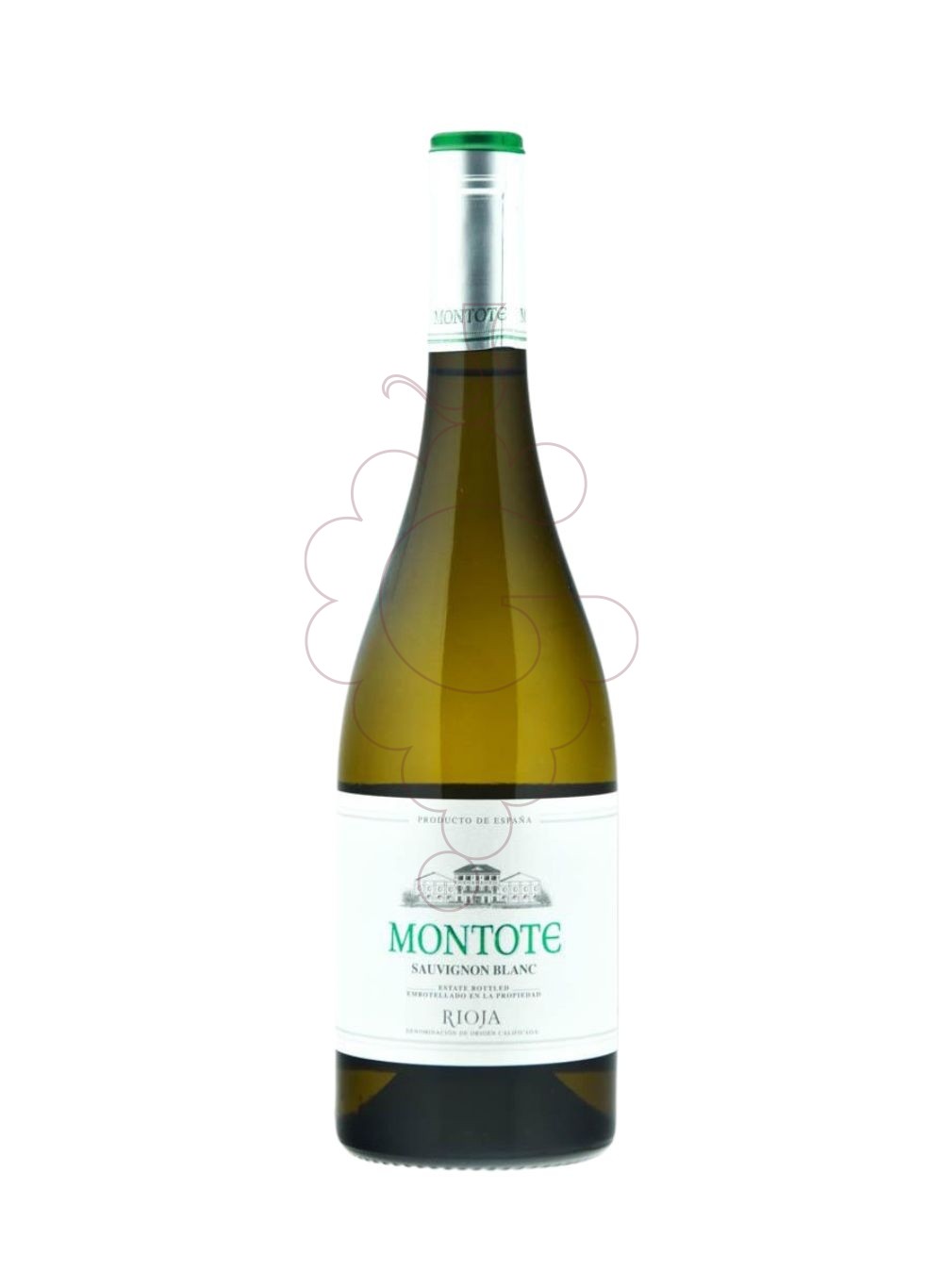 Foto Montote Sauvignon Blanc vi blanc