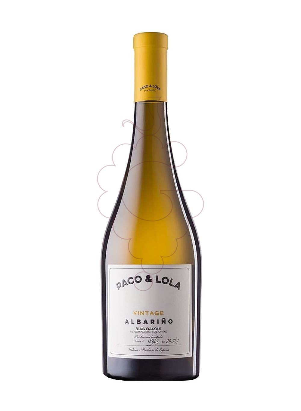 Foto Albariño Paco & Lola Vintage Magnum vi blanc