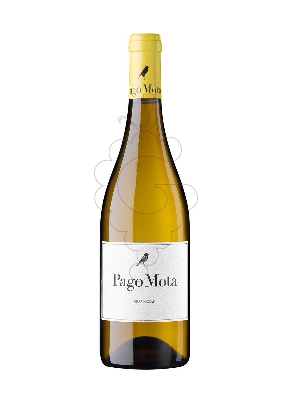 Foto Pago Mota Chardonnay vi blanc