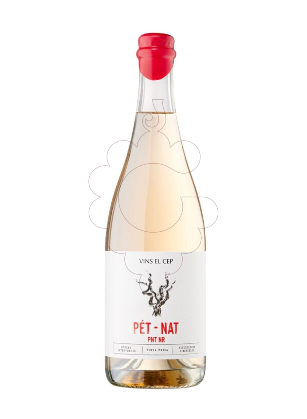 Foto Pet-nat pinot noir 75 cl vi escumós
