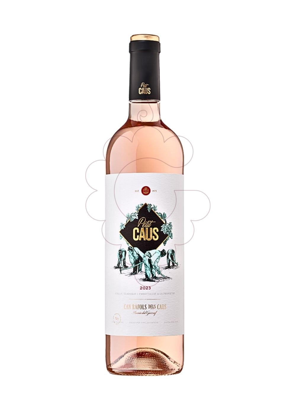 Foto Petit Caus Rosat vi rosat