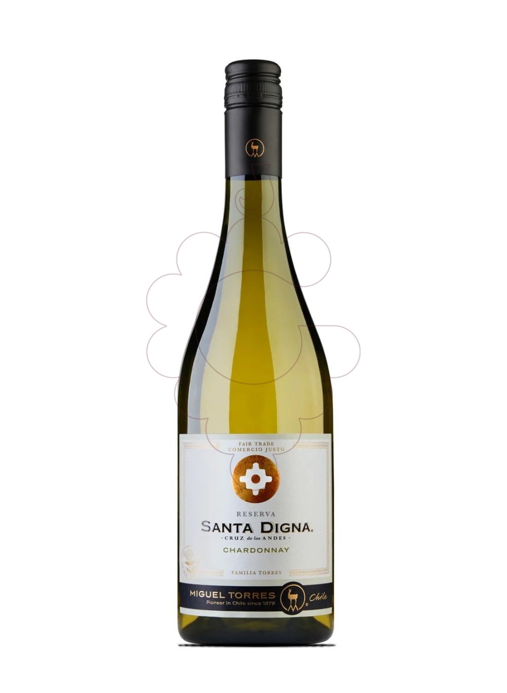Foto Santa Digna Chardonnay  vi blanc