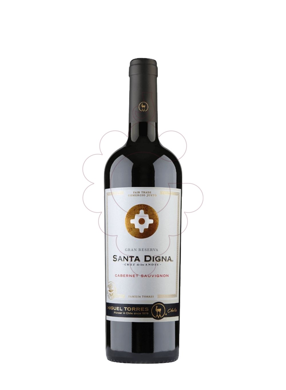Foto Santa Digna Cabernet Sauvignon Negre vi negre
