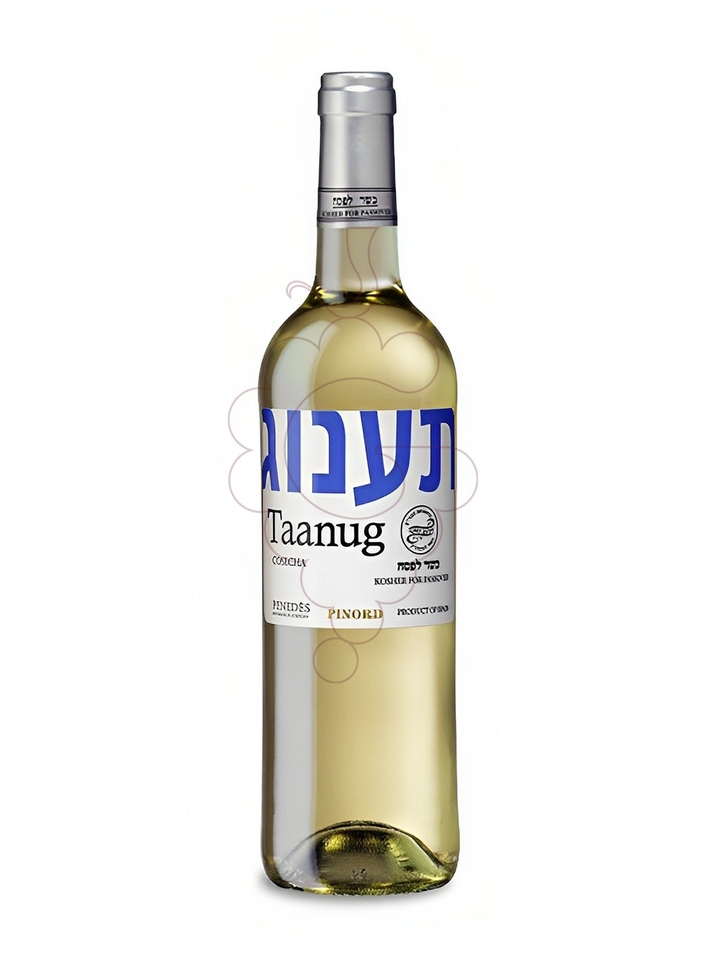 Foto Taanug Blanc Kosher vi blanc