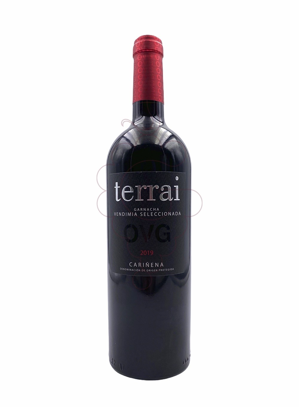 Foto Terrai V vi negre