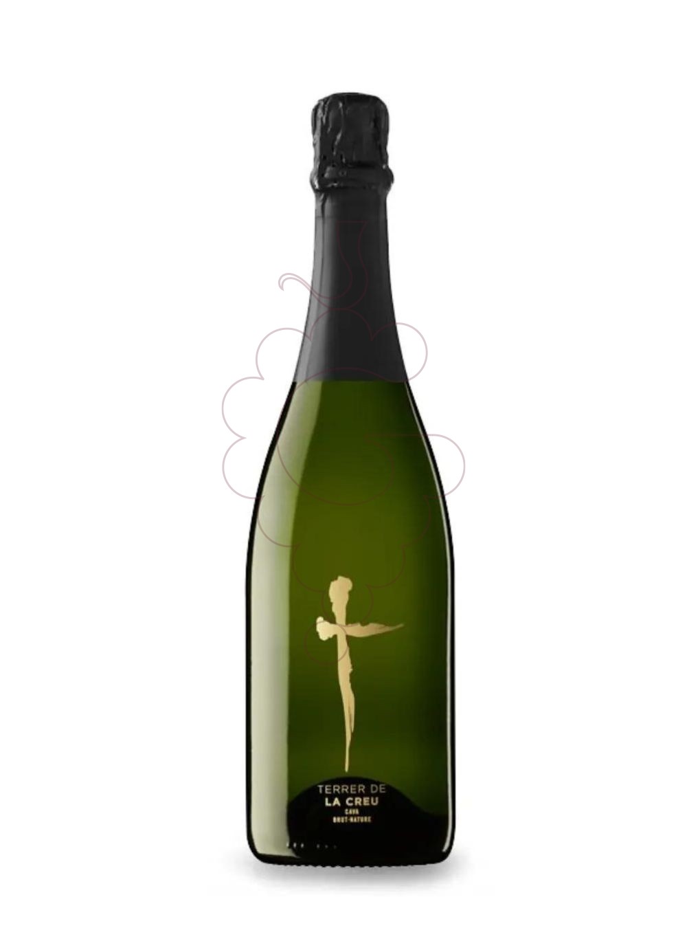 Foto Terrer de la creu brut nature vi escumós