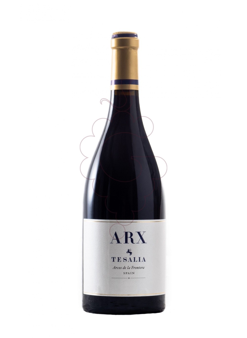 Foto Tesalia Arx Negre 2019 vi negre