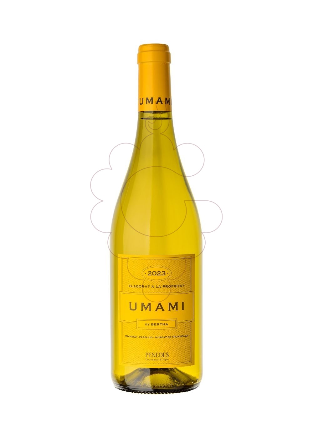 Foto Umami vi blanc