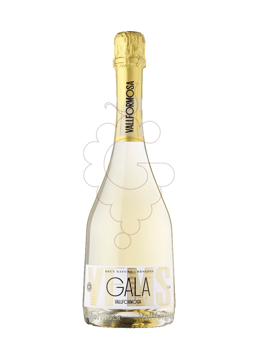 Foto Vallformosa Gala Reserva Brut Nature vi escumós