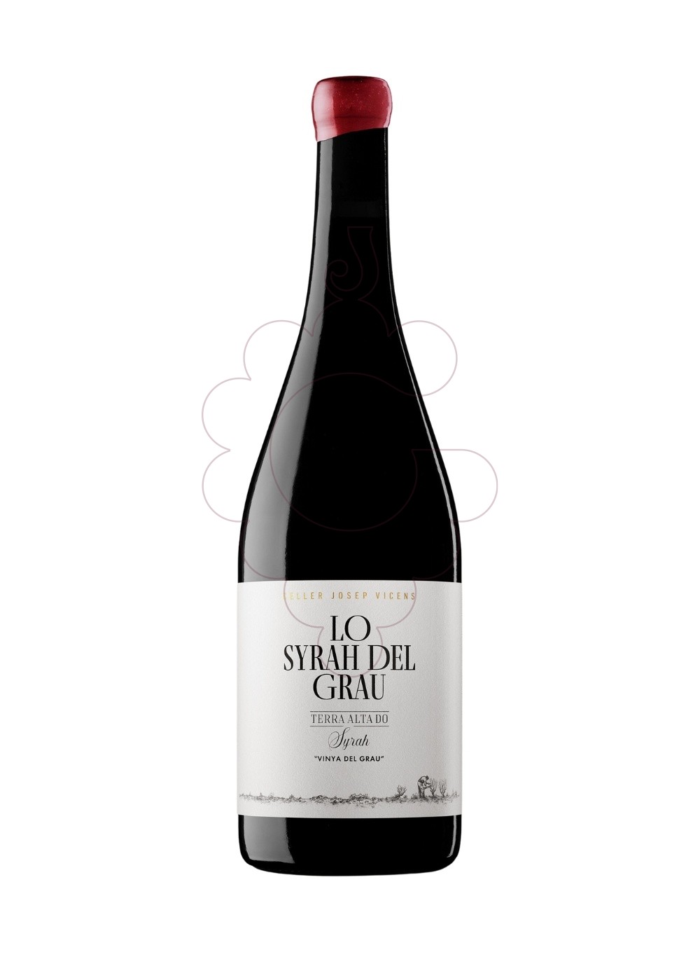 Foto Vinyes del Grau Criança Syrah vi negre
