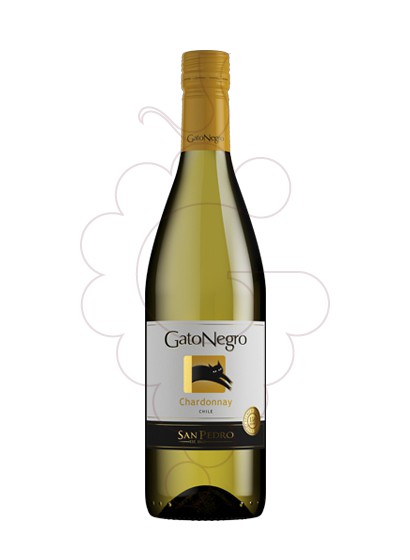 Foto Gato Negro Blanco Chardonnay vi blanc