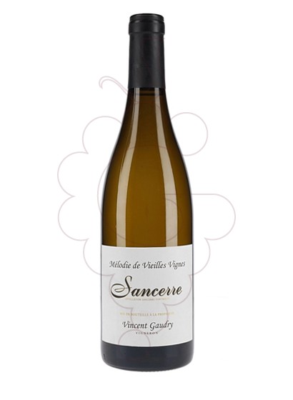 Foto Gaudry Mélodie de Vieilles Vignes Sancerre vi blanc