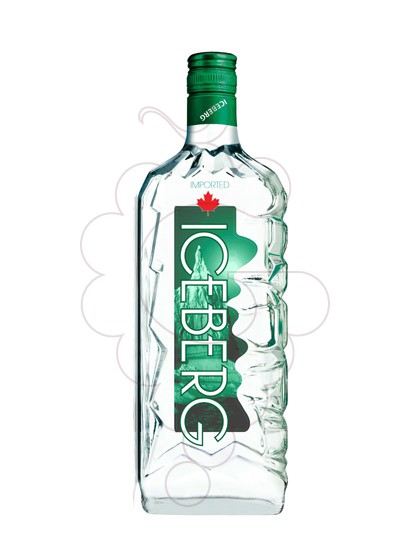 Foto Ginebra Iceberg Gin