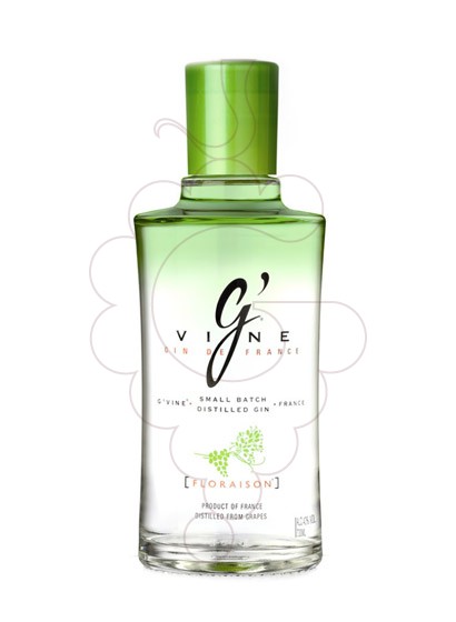 Foto Ginebra G'vine Floraison