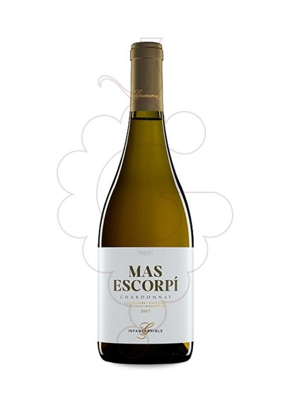 Foto Mas Escorpí Chardonnay vi blanc