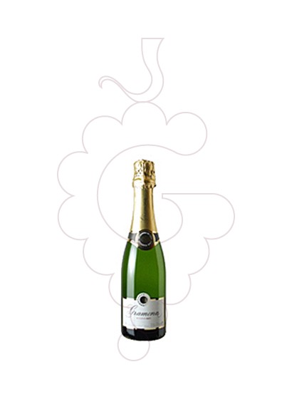 Foto Gramona Reserva Brut (mini) vi escumós