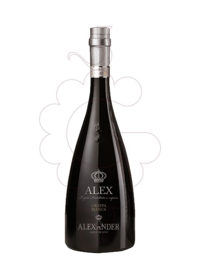 Foto Grappa Grappa Alexander Bianca