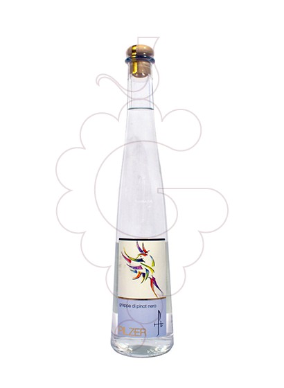 Foto Grappa Grappa Pilzer di Pinot Nero