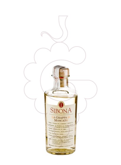 Foto Grappa Grappa Sibona Moscato