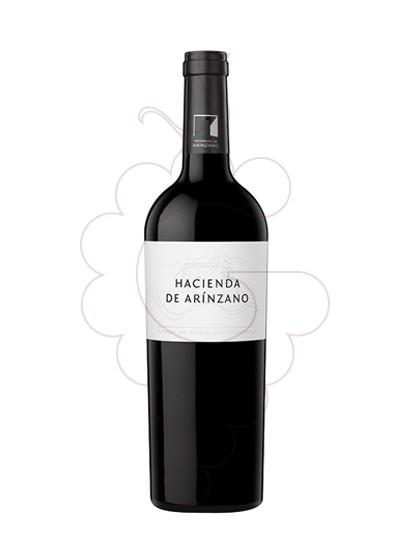 Foto Hacienda de Arínzano Negre Magnum vi negre