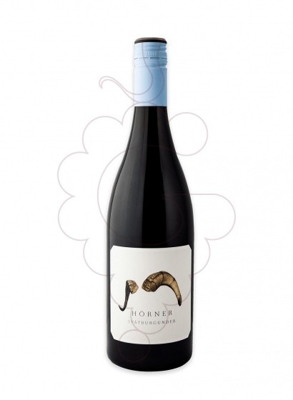 Foto Horner Spatburgunder  vi blanc