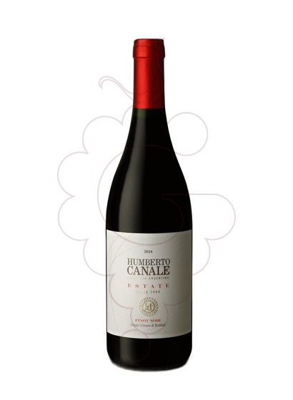 Foto Humberto Canale Estate Pinot Noir vi negre