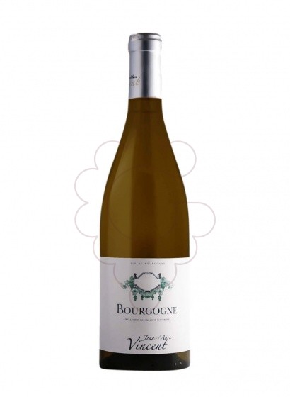 Foto Jean-Marc Vincent Bourgogne Blanc vi blanc