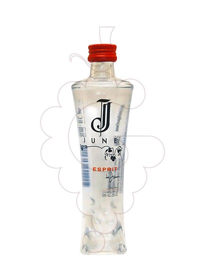 Foto Licor June (mini)