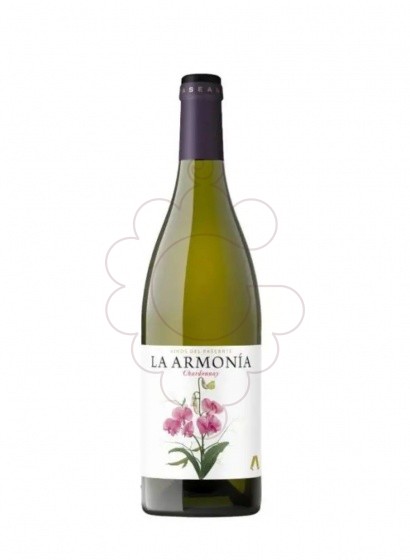 Foto La armonia blanc chardonnay vi blanc