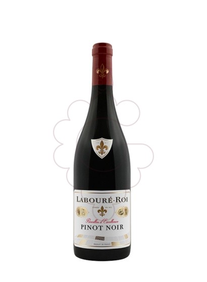 Foto Labouré-Roi Pinot Noir 2024 vi negre