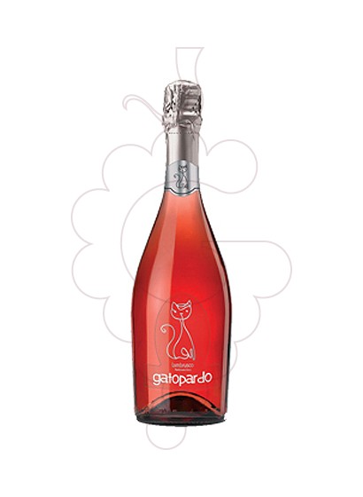 Foto Lambrusco Gato Pardo Rosat vi escumós